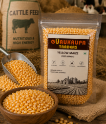 Yellow Maize Feed Grade