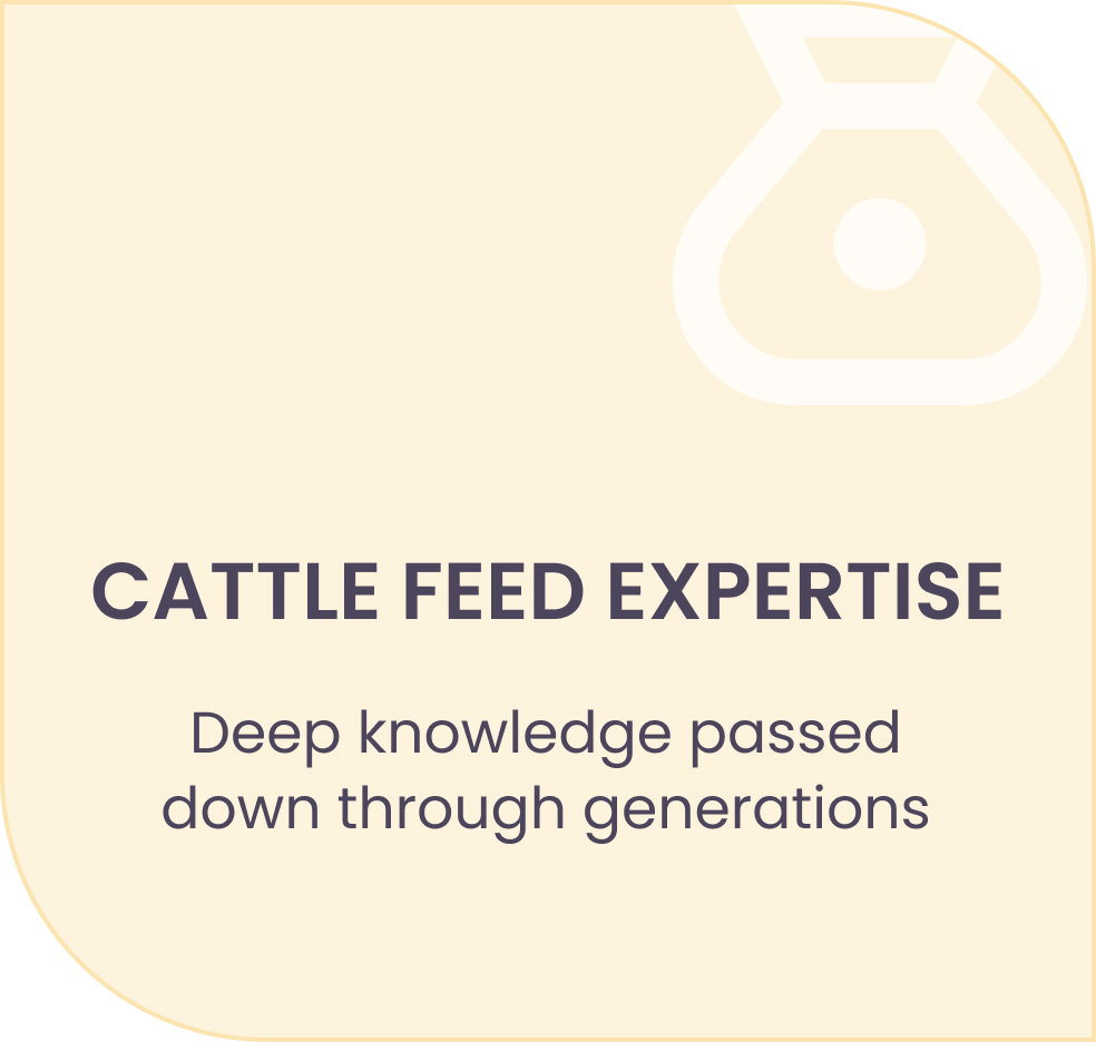 cattle feed expertise
